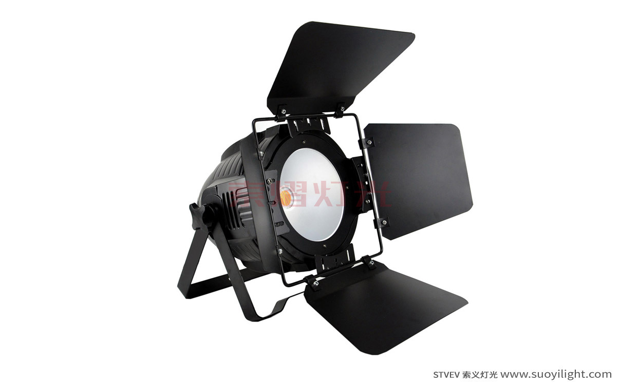 Chile200W COB LED Par Light