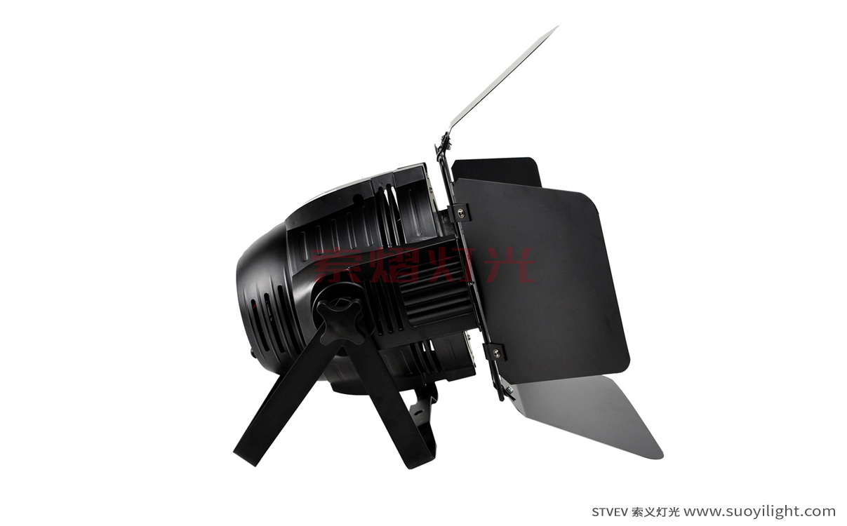 Chile200W COB LED Par Light