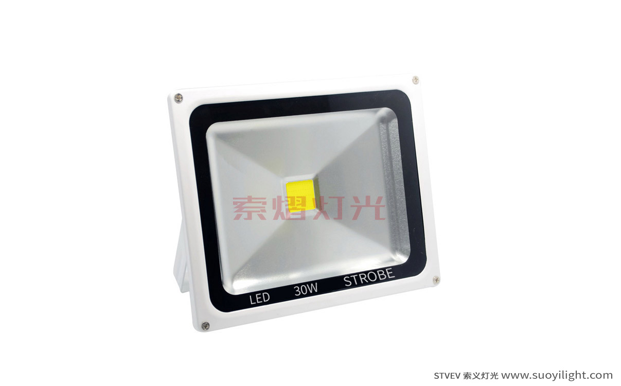 Chile30W LED Strobe Light