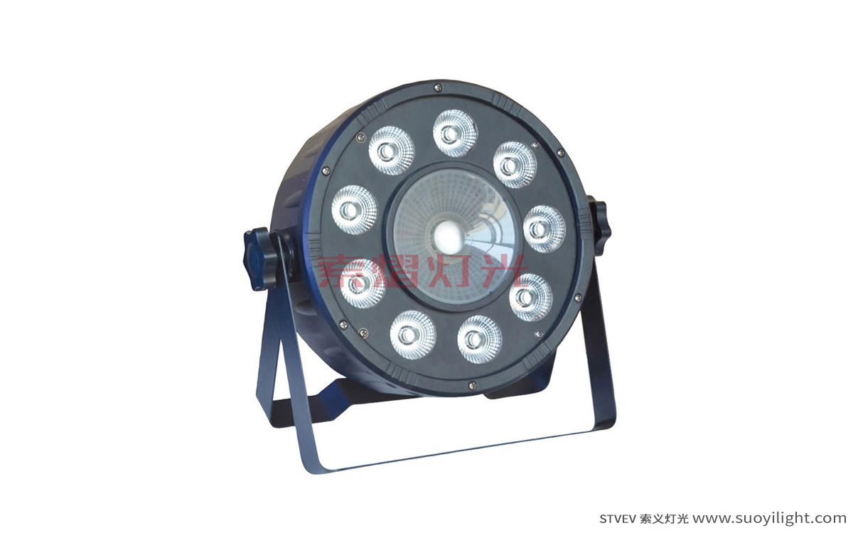Chile9+1 LED Plastic Par Light