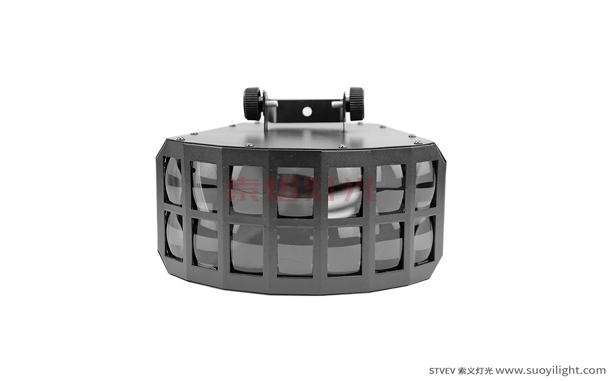 ChileLED Double Butterfly Light