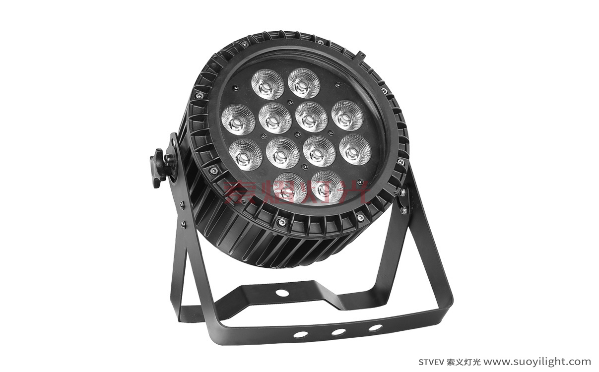 Chile12*12W 6 in 1 Waterproof LED Par Light