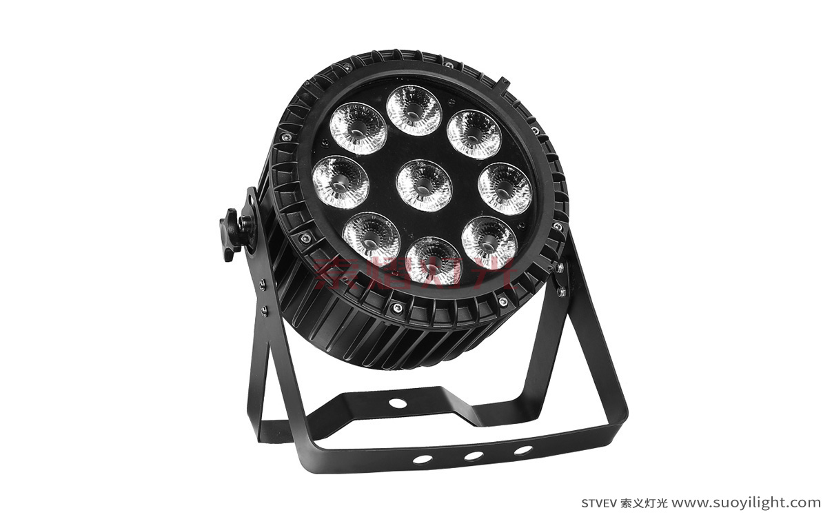 Chile9*12W 4 in 1 Waterproof LED Par Light