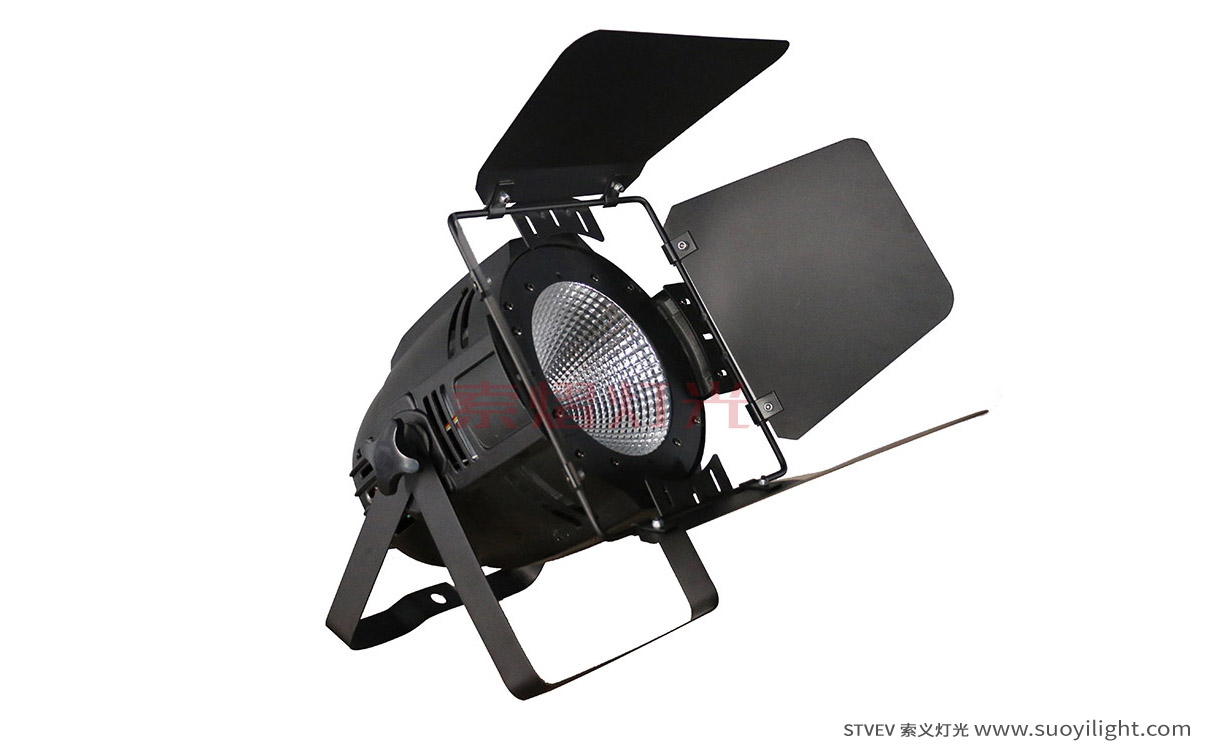 Chile100W LED COB Par Light