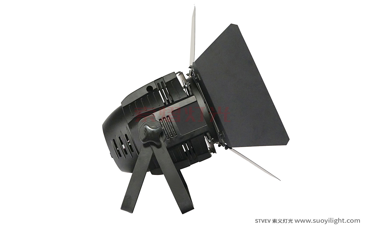 Chile100W LED COB Par Light