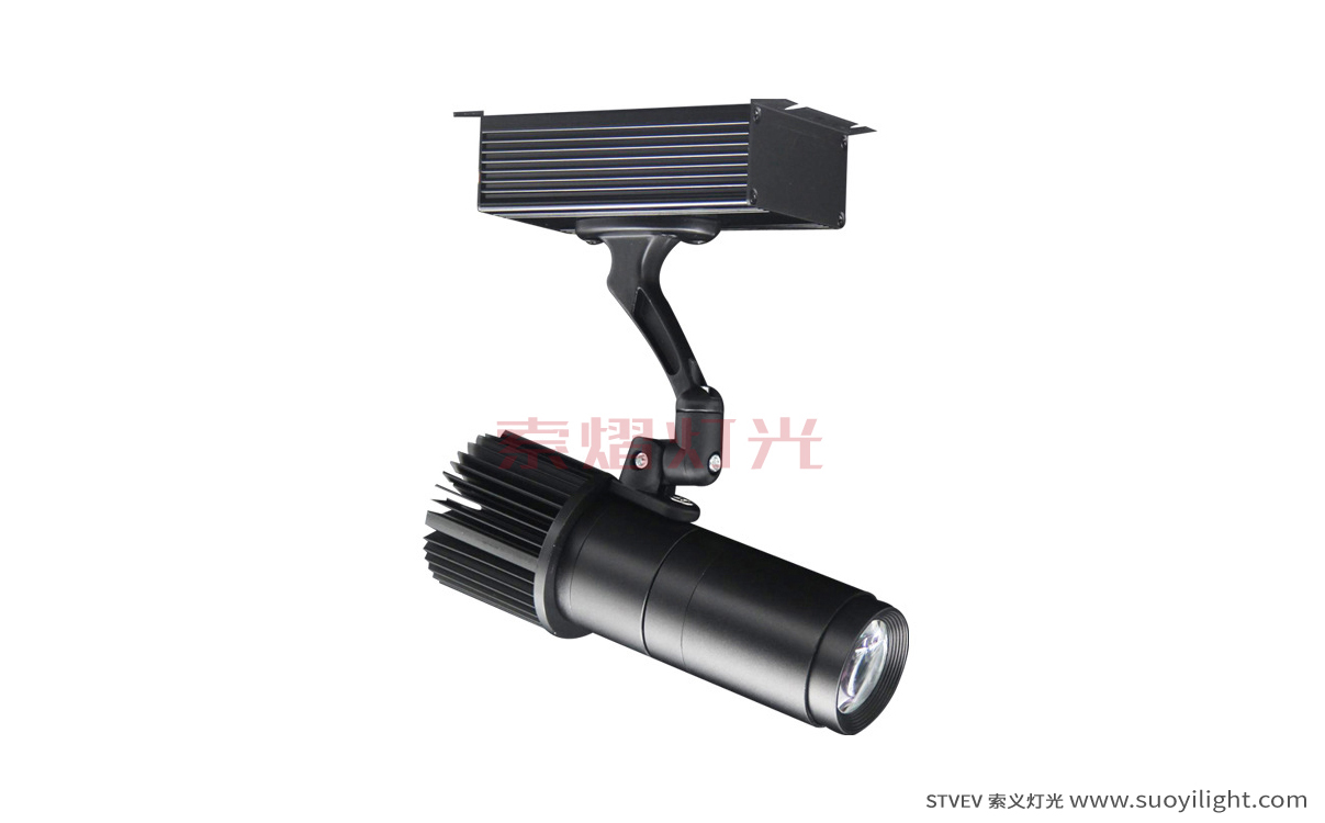 Chile10W,20W logo Projection Advertising Light