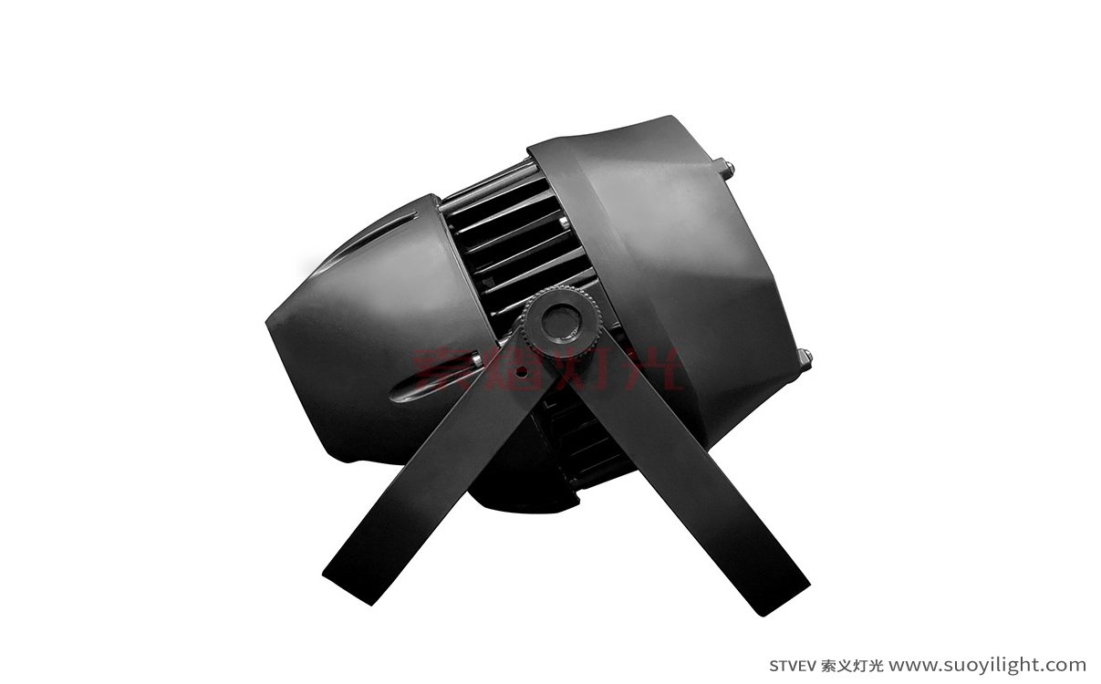 Chile200W Waterproof COB Par Light