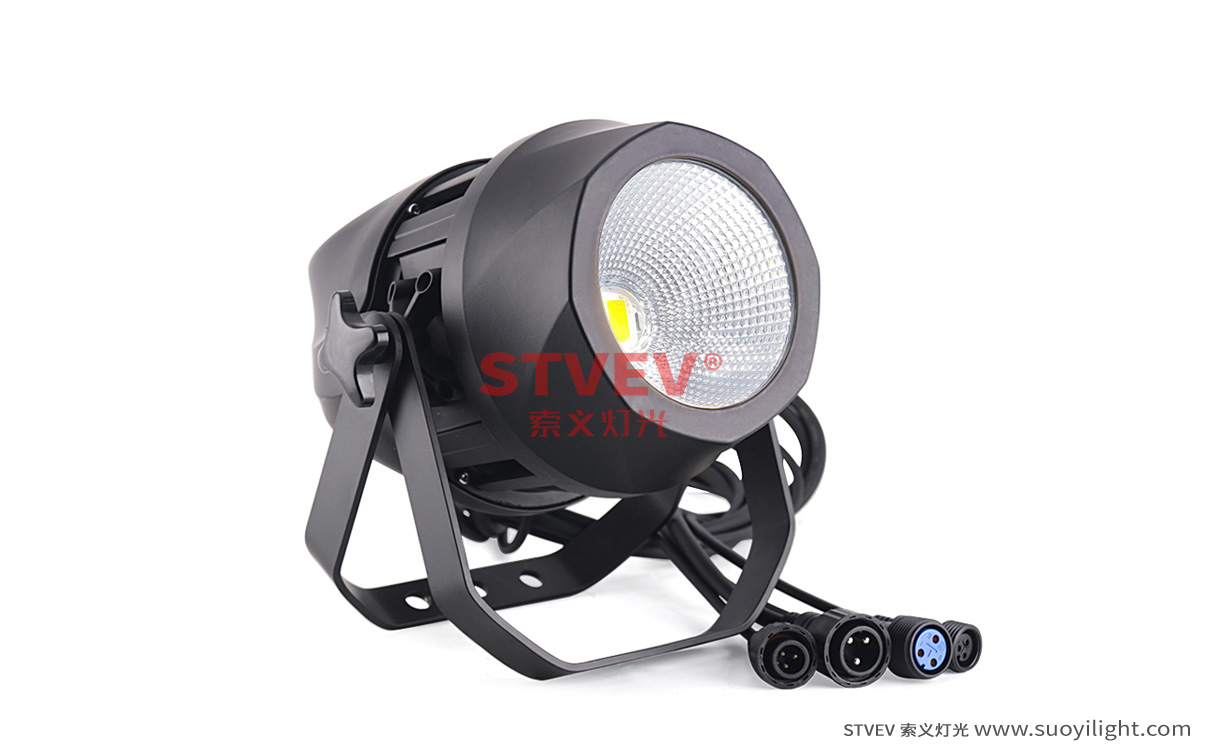 Chile200W Waterproof COB Par Light