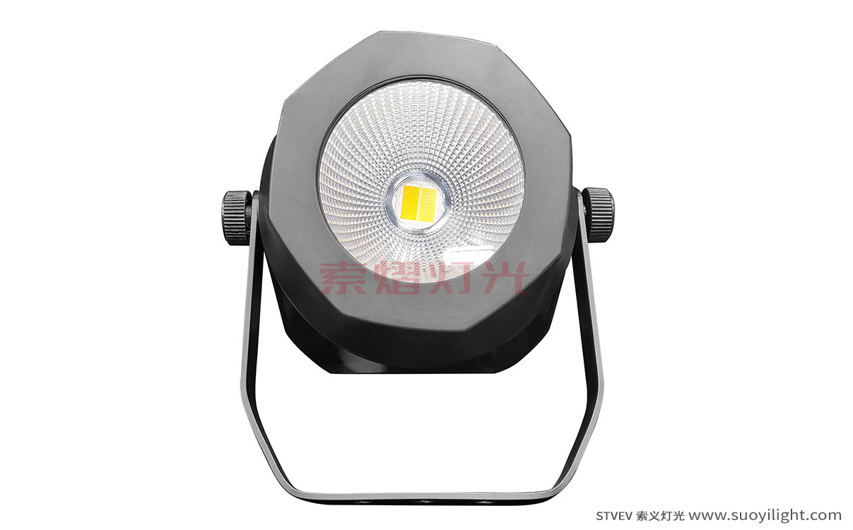 Chile200W Waterproof COB Par Light