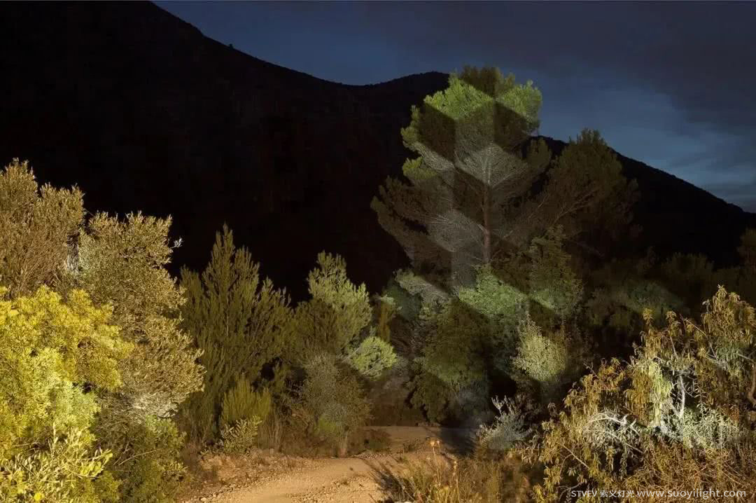 Chile奥斯坦基诺公园亮化