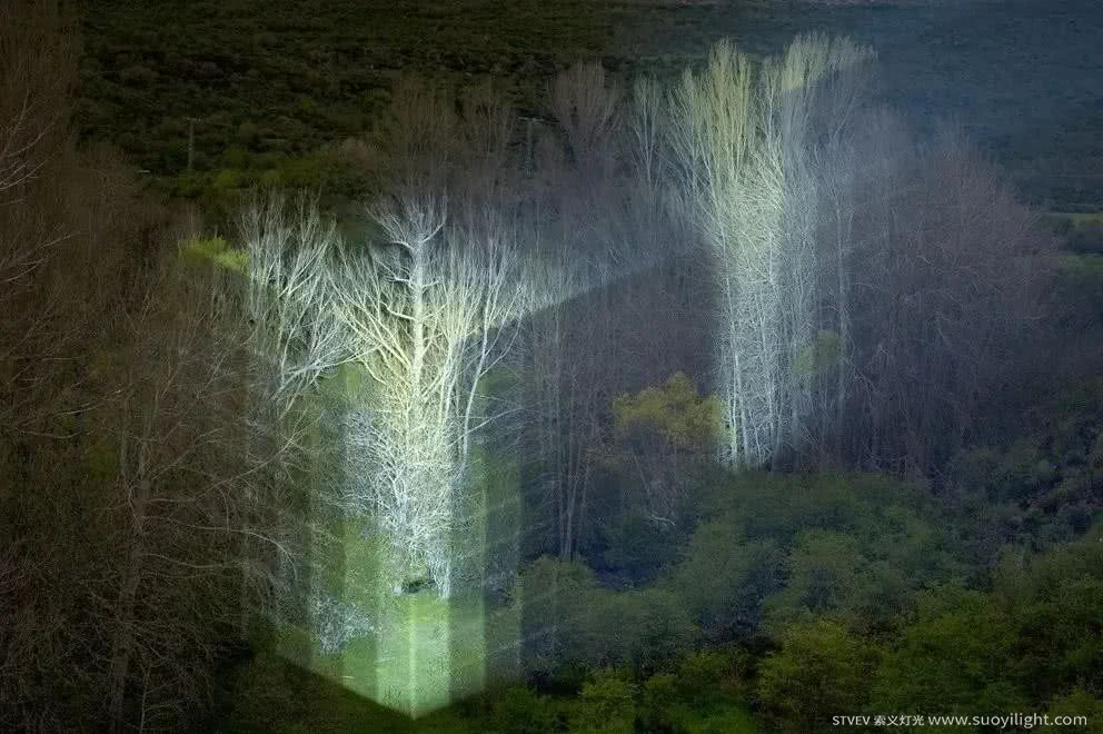 Chile奥斯坦基诺公园亮化